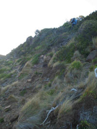 Rope from creek gully