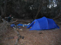 Campsite at Cooks Beach