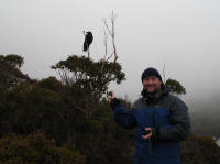 Matthew with forest raven