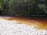 Crossing River