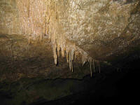 Inside Damper Creek Cave