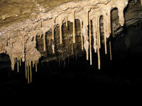 Inside Damper Creek Cave