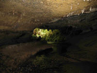 Damper Creek Cave entry