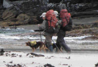 Walkers with dogs at South Cape Rivulet