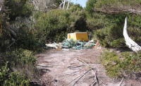 Buoy Creek garbage