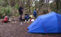 Tony at Cox Bight campsite