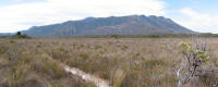 Ironbound Range from Louisa Plains