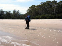 Beach at South Cape Rivulet