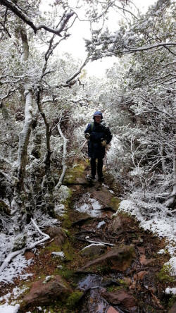 On the Way Up Mt Roland