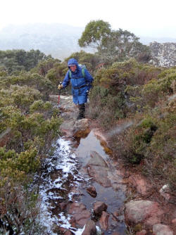 On Mt Roland Plateau