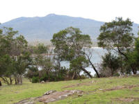 Chinamans Bay and Mt Maria