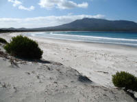 Riedle Bay north and Mt Maria