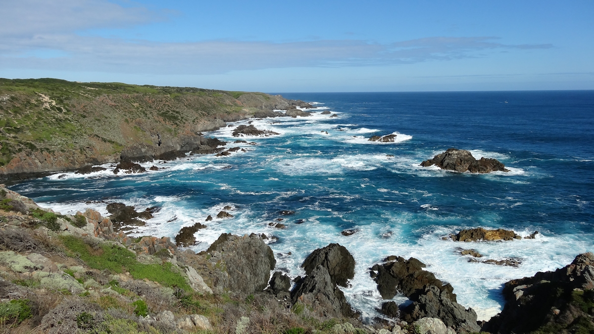 Seal Rocks, West Coast