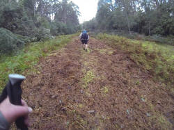 Wide Track Steep Walking