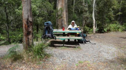 Break at Minnow River Bridge