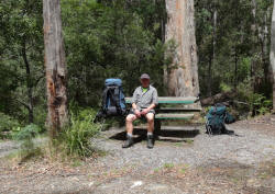 Rest at Minnow River Bridge