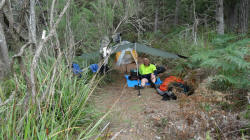 Campsite at Lower Beulah Road