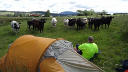 Campsite Dunorlan Paddock