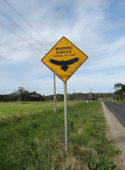 Sign for Eagles