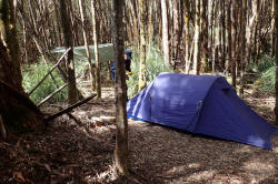Campsite at Collingwood River