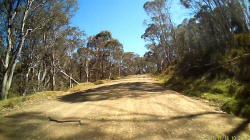 Snake on 14-Mile Track