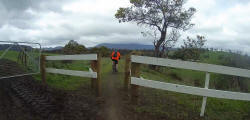 Farm Track Crossing