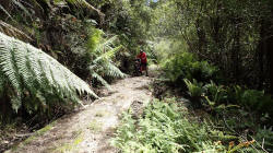 Bridge Myrtle Creek Road