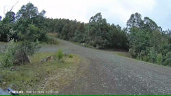 Blue Gum Saddle