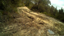 Boney Road Ruts