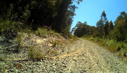 Tony's Skid on Old Bermuda Road