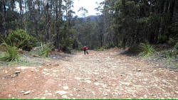 Tony Struggles on Jefferys Track