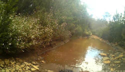 Water on White Timber Trail