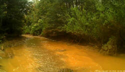 More Water on White Timber Trail