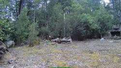 Florentine River Campsite