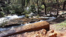 Nanga Brook in Flood