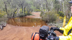 On Track to Collie