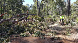 On the way to Nannup