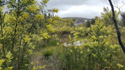 Granite Outcrop