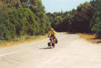 On the road near Zeehan