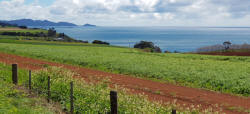 View between Stanley and Wynyard