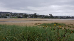 Bridport from the Foreshore