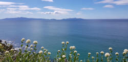 Freycinet in the Distance