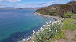 View along the Coast