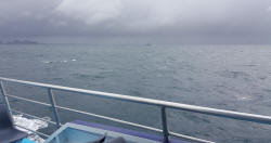 RNZN Ship on Patrol