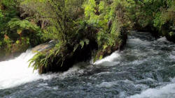 Okere Falls
