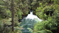 Okere Falls