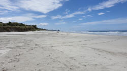 Beach South of Dunedin