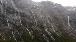 Milford Road