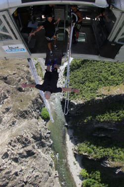Tony Bungy 5