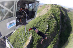 Tony Bungy 6